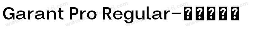 Garant Pro Regular字体转换
